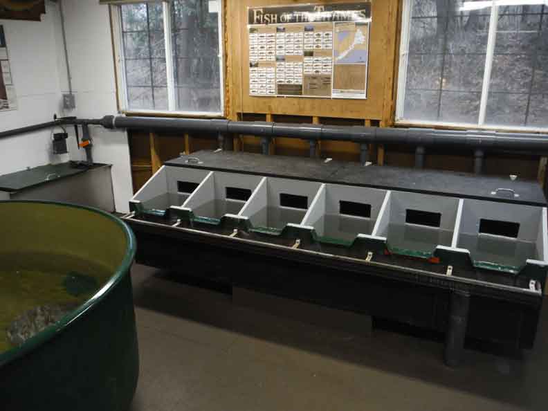 Upwelling Box