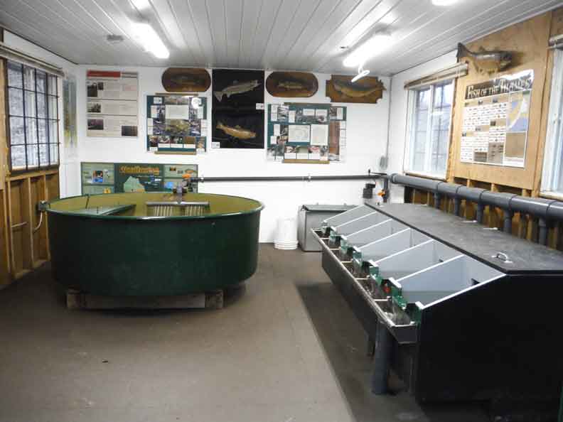 Hatcery Interior