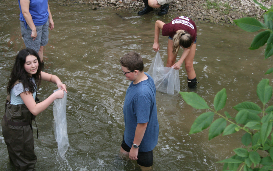 Rainbow Trout Release