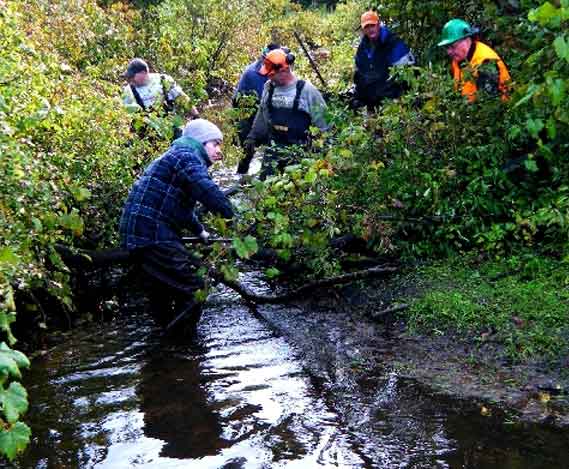 Komoka Creek rehab